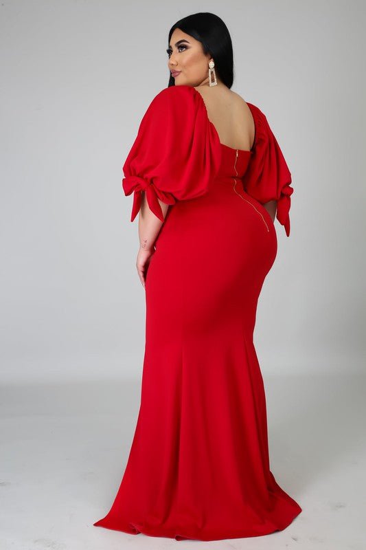 Posh Long sleeve plus size maxi Dress - Fason De Viv – Fason De Viv